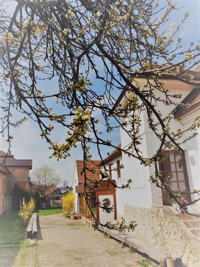 Studiorasnov Rîşnov Esterno foto