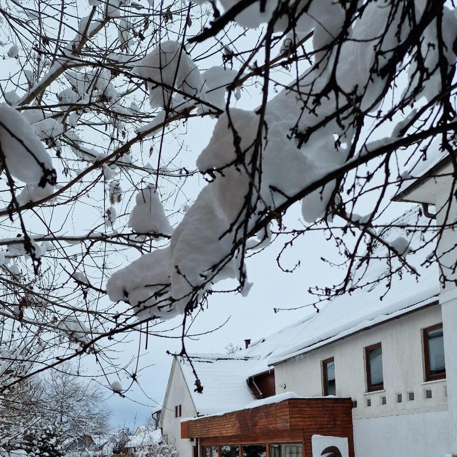 Studiorasnov Rîşnov Esterno foto