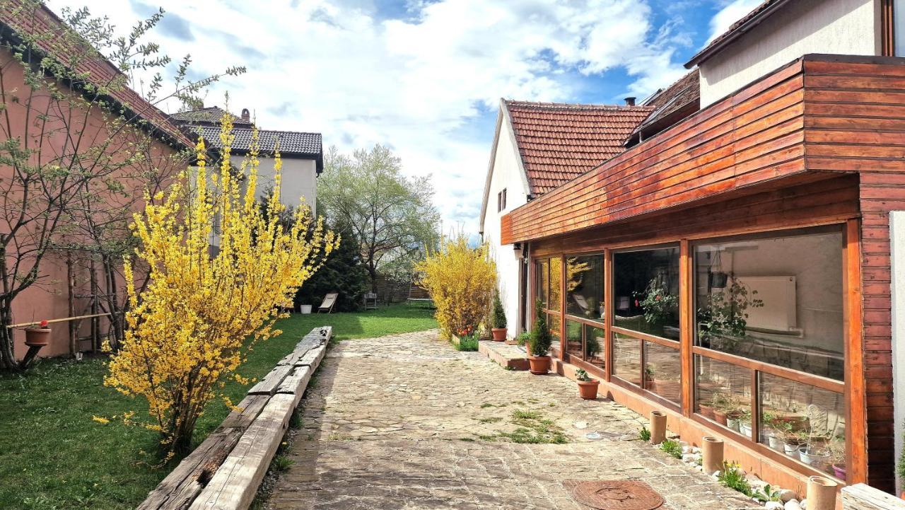 Studiorasnov Rîşnov Esterno foto